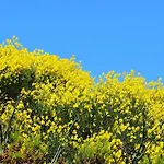 Casale Fonte Di Rose 度假居 卡波利韦里